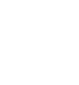 Smoking Goose