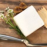 Trillium Triple Cream by Tulip Tree