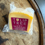 Dutch Tulip by Tulip Tree