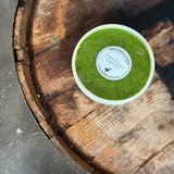 Ramp and Toasted Walnut Pesto