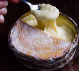 Uplands Rush Creek Reserve 2025